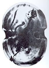 Μυκηναϊκό μετάλλιο με απεικόνιση ασπίδας Διπύλου. Image may be copyrighted